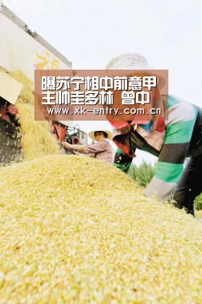 app下载